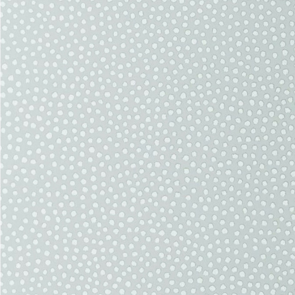 Meet your Posher, Bailey